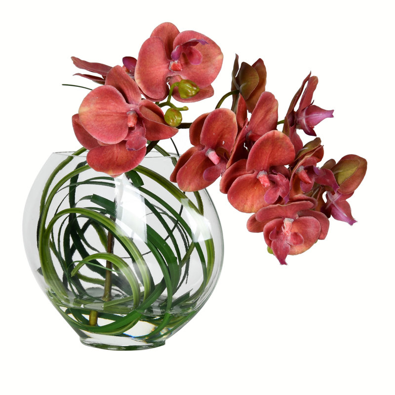 Arrangement floral orchidée en pot