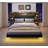 Floating Queen Bed Frame with LED Light and Bookcase Storage Headboard Queen Size Upholstered