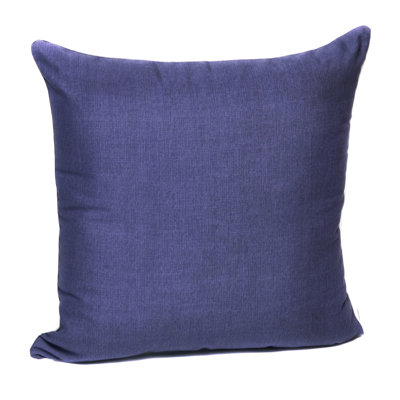  Indoor/Outdoor Throw Pillow