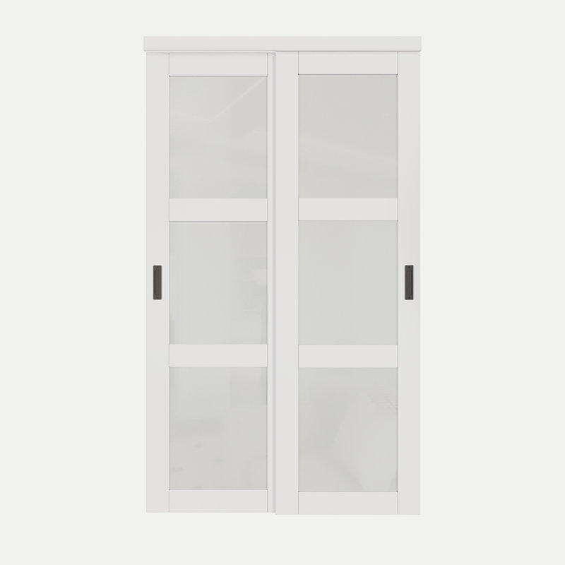 48 in. x 80 in. White Tempered Frosted Glass Sliding Closet Door