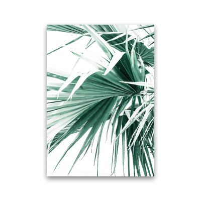 Palm Leaves by Victoria Frost - Print