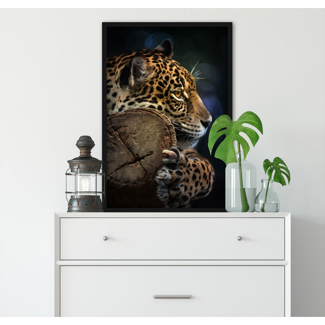 Gerahmtes Poster Wunderschöner Leopard