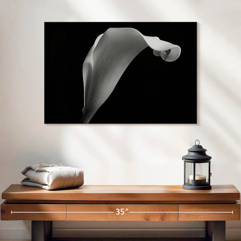 Lys Calla monochrome, H 8 po x l 12 po