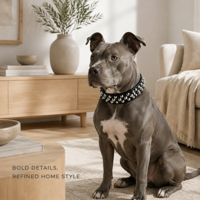 Adjustable Spiked Studded Dog Collar with Metal Buckle and Leash D-Ring for Medium and Large Dogs