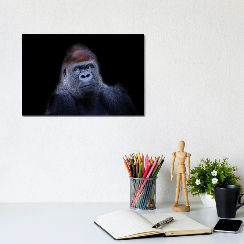 Western Lowland Gorilla by David Whelan - Wrapped Canvas Print, 20.32 cm H x 30.48 cm W