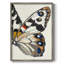 ANIMALS Series CECLII, reproduction encadrée - bois massif-96558939
