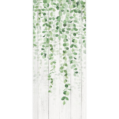 Feuilles d'eucalyptus suspendues, verdure fraîche