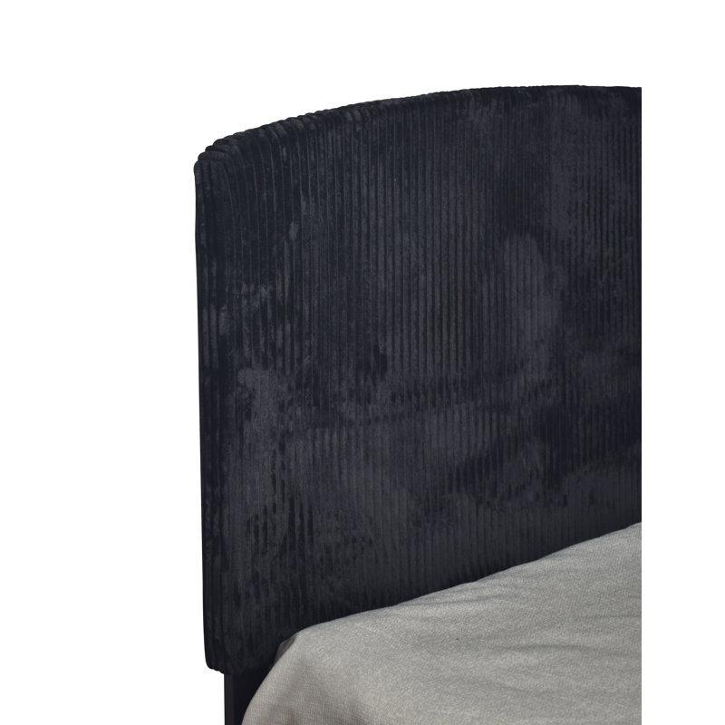 Ochlocknee Upholstered Standard Bed, California King, Black (Gold legs)