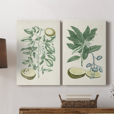 Buchoz Tropicals III - Toile tendue avec châssis de qualité supérieure - Prêt à être accroché