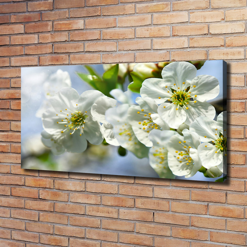 Cherry Blossom - Wrapped Canvas Print