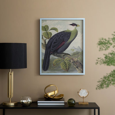 Reproduction encadrée vintage avec imprimé animalier XXXV - bois massif