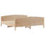 Storage Bed-961084682-961084730