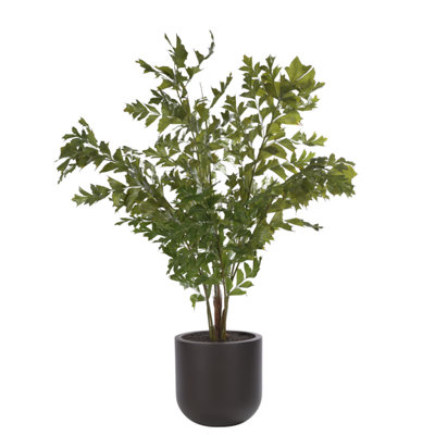 Fishtail Palm, Dome Planter Mocha