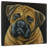 Brampt Bull Mastiff