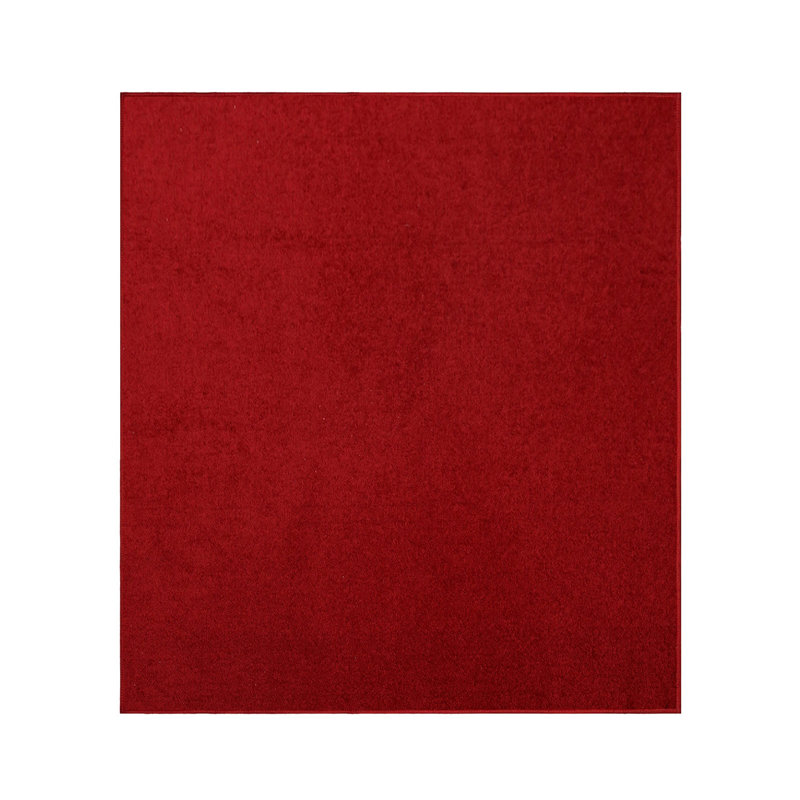 Modern Plush Pet and Kids Friendly Solid Color Red Area Rugs, Stain & Fade Resistance, Perfect for Living Room, Dining Room, Bedroom, Playroom and Kidsroom, Event, Wedding, Ambernique Binded Rug