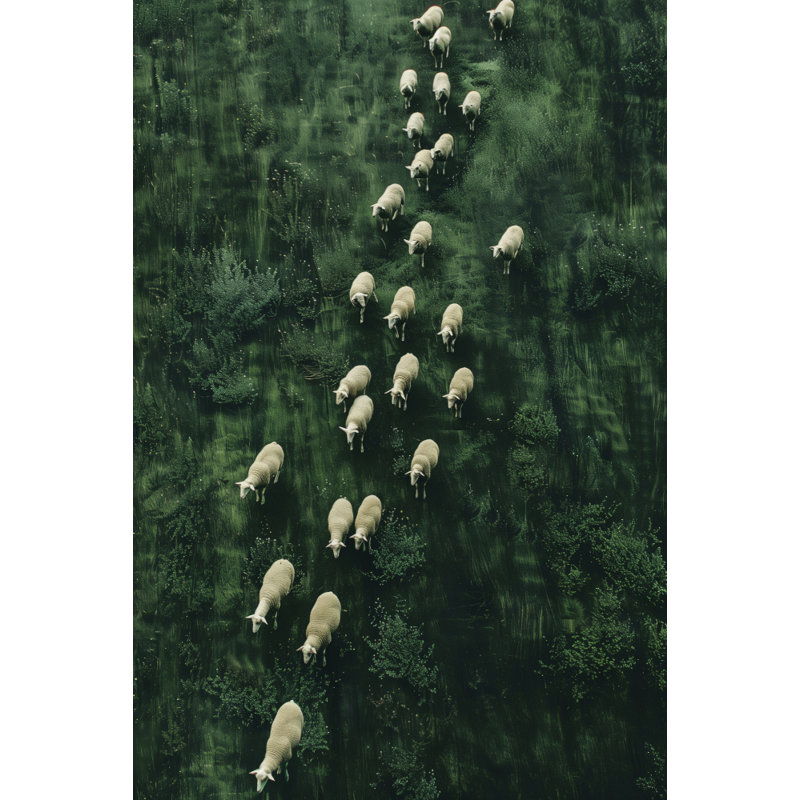 Wrapped Canvas Print