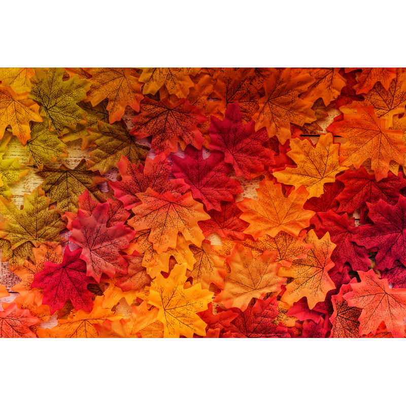 Feuille d'automne sur toile par Whyframestudio, photographie, H 8 po x l 12 po x P 1,25 po