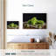 Raisins verts Yarlin-107685841