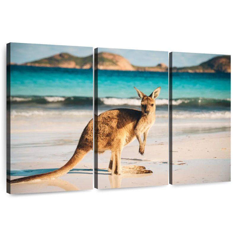 Kangourou à Brampt Beach, H 32 po x l 50 po