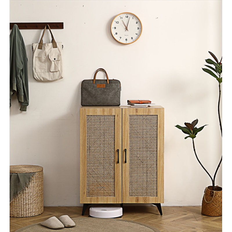 2 - Door Storage Cabinet
