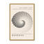 Impression monochrome de courbes de Bauhaus-1228574447-1233272278-1233272277
