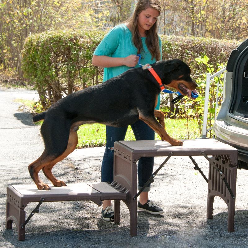 Pet Gear Free Standing Foldable 2 Step Pet Stair & Reviews | Wayfair