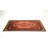 Saloma Oriental Indoor Rug-79107738