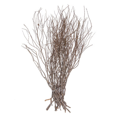 36'' Branch