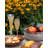 Heirloom Swirl Flute Set