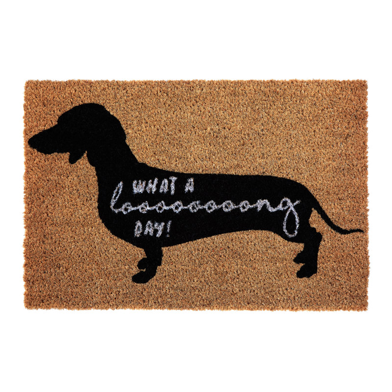 Surekha W40 x L60 cm Non-Slip Doormat