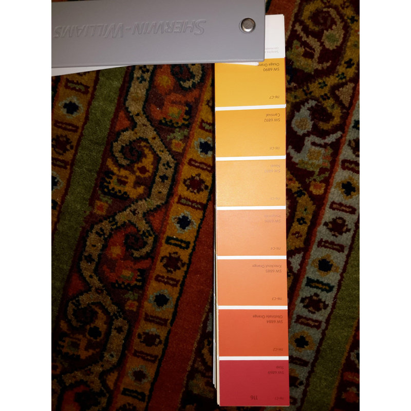 Paightyn Oriental Area Rug in Multicolor Orange