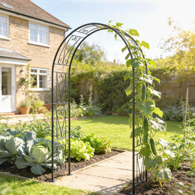 Arche de jardin 8 pi, treillis extérieur pour plantes grimpantes, noir