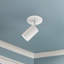Barclay 1 - Light Spotlight-64113041