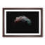 Moon - Picture Frame Graphic Art Print-55732184-55732185
