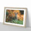 Hare in a Meadow - Framed Print-56712101-56712103
