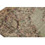 Wool Floral Area Rug