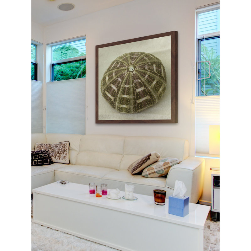 Judy Stalus - Single Picture Frame Print, 41cm H x 41cm W x 3.81cm D