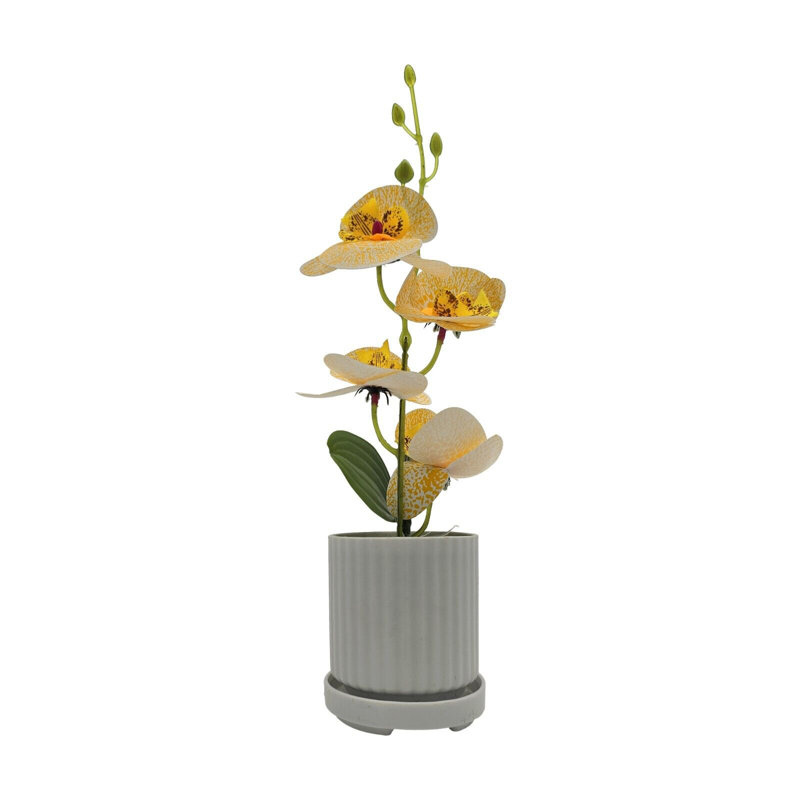 Nastashia Hydrangea Arrangement in Vase