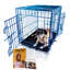 Caisse pour animaux-221677260-221677261