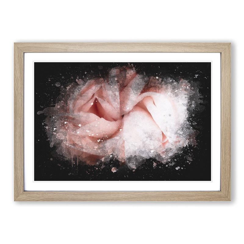 Petals of a Pink Carnation - Picture Frame Graphic Art Print, Oak Framed, 33cm H x 45cm W x 2cm D