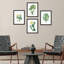 «Green Blooming Flower», ensemble de 4 fleurs de cactus du désert, impression murale encadrée sur papier, impression de 4 pièces-93012485-93012482