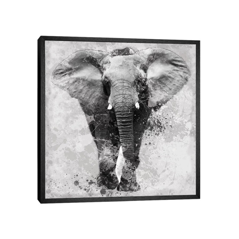 Proud Elephant by Carol Robinson - Print on Canvas, 45.72 cm H x 45.72 cm W, Black Framed Canvas