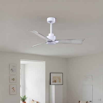 Ventilateur de plafond Alessandra 42