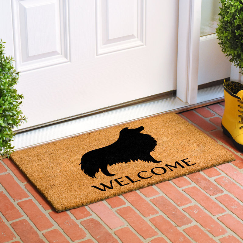 Tapis d'intérieur antidérapant Collie, l 24 po x L 36 po