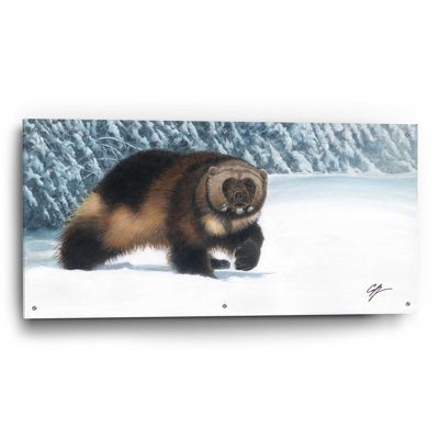 «Red Wolverine» par Durwood Coffey, art mural en verre acrylique