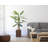 Hodges 87.5 " H Faux Bamboo Tree