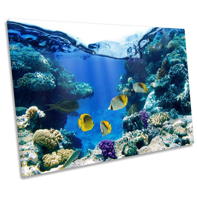 Marine Fish Underwater - Wrapped Canvas Print