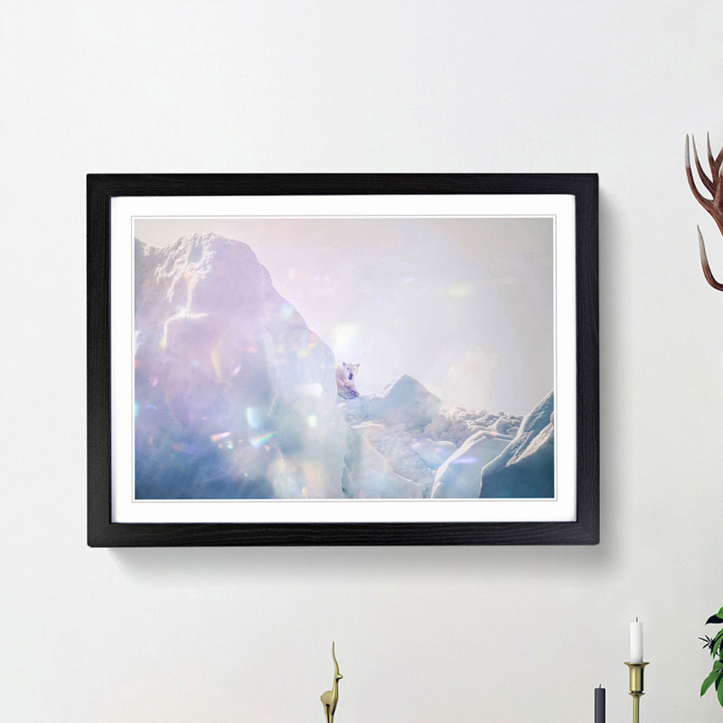 Polar Bear in the Wild - Picture Frame Photograph Print, Black Framed, 27cm H x 36cm W x 2cm D