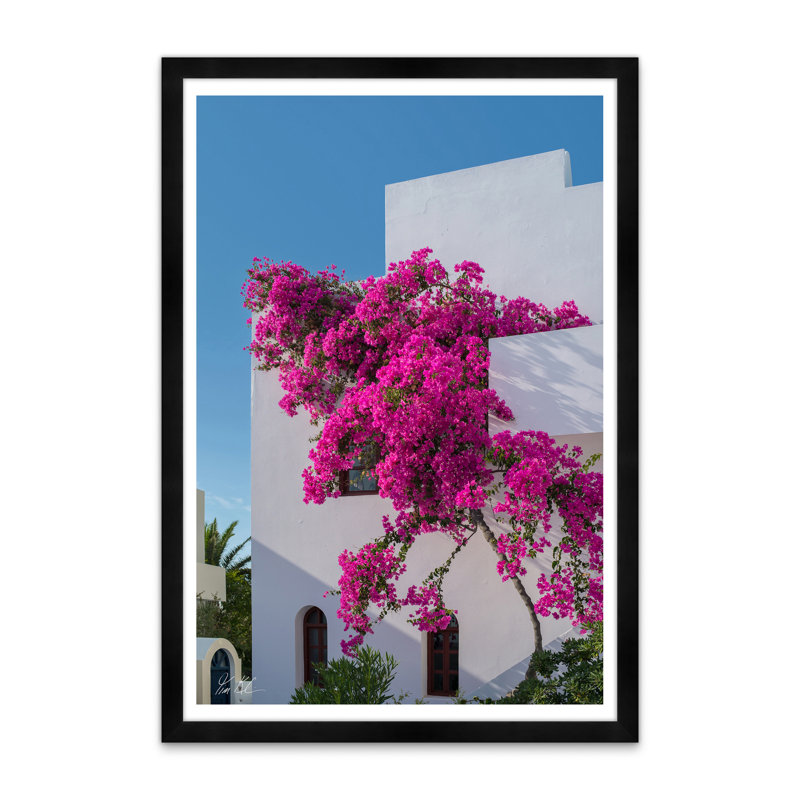 Bougainvillée grimpante I, H 42 po x l 29 po x P 1,5 po, Noir
