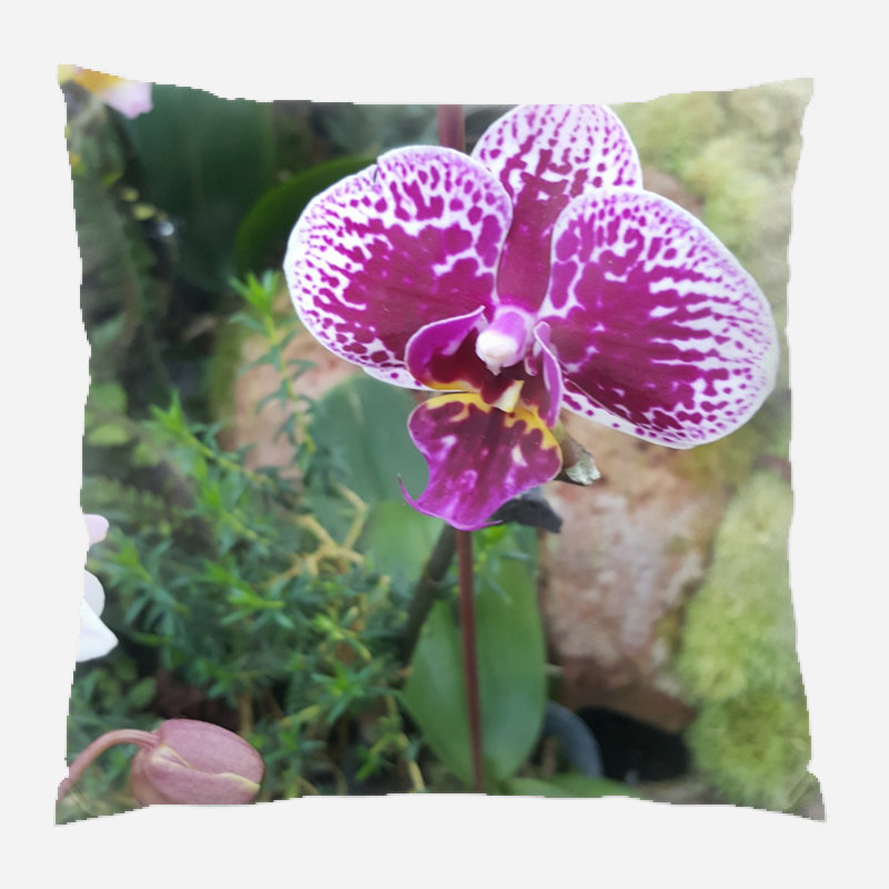 Housse de coussin Kayla, Intérieur, Microsuède